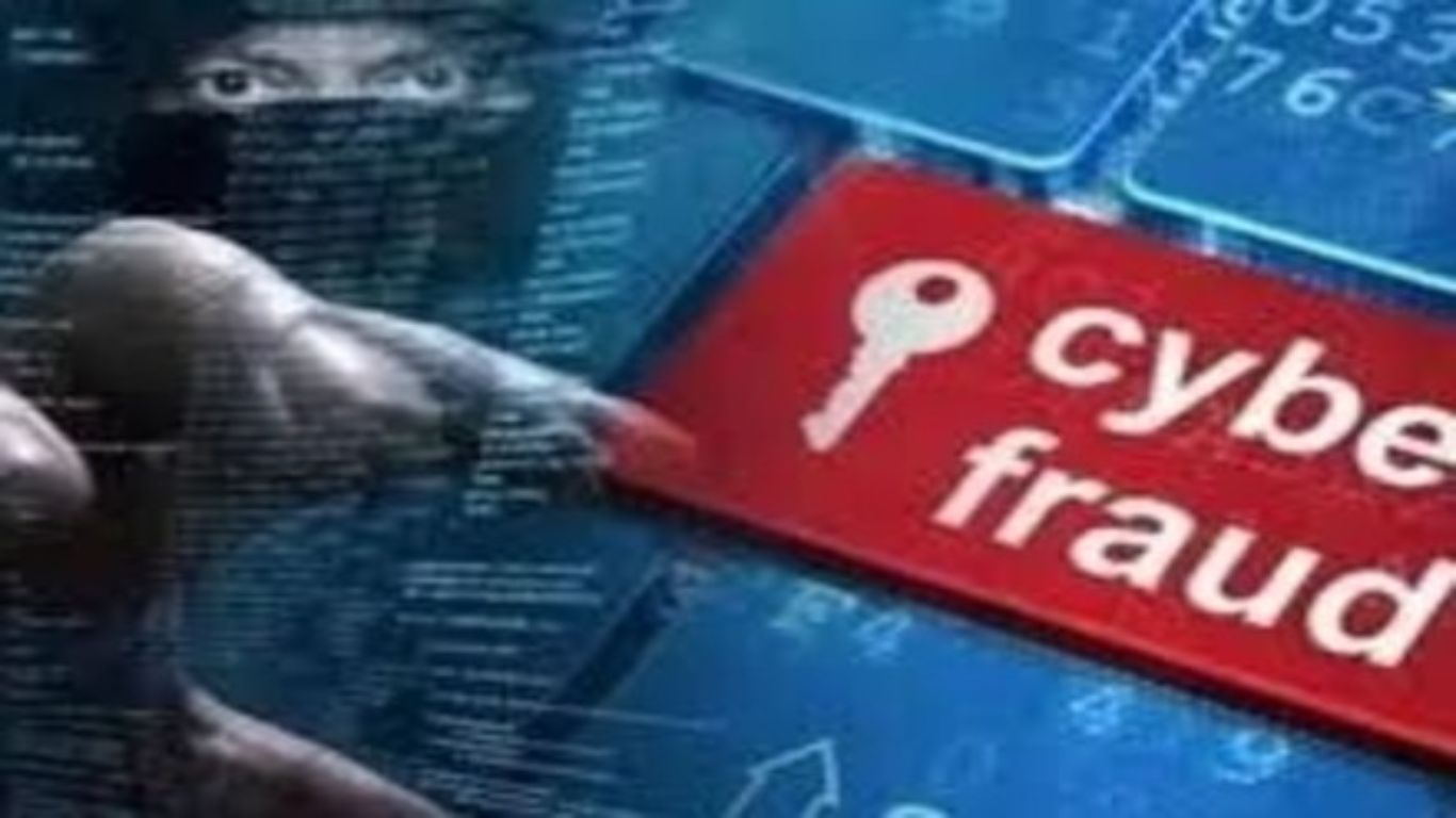 Cyber Fraud