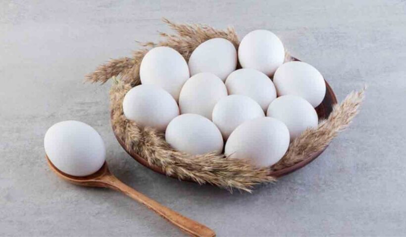Egg Price