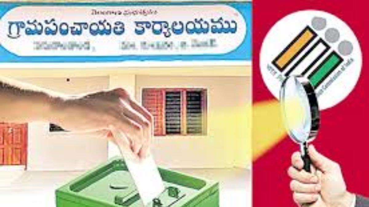 Local Body Elections: