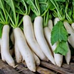 Radish Juice Benefits