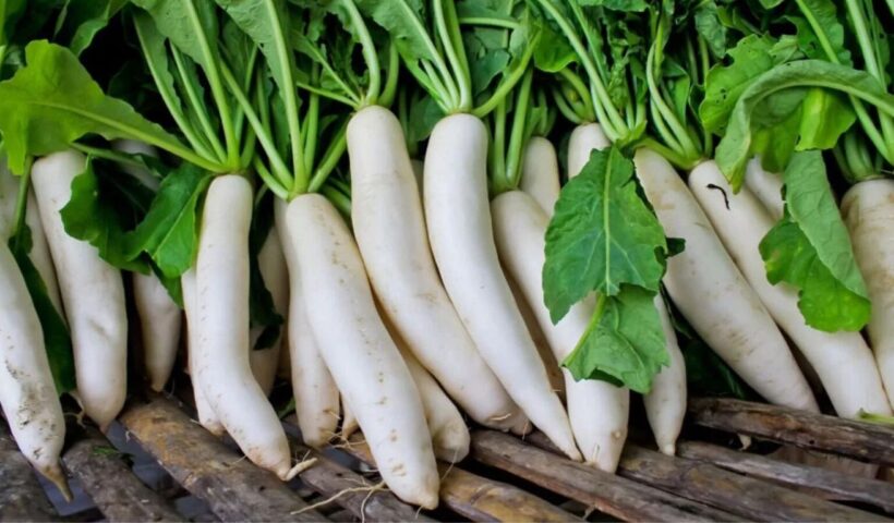 Radish Juice Benefits