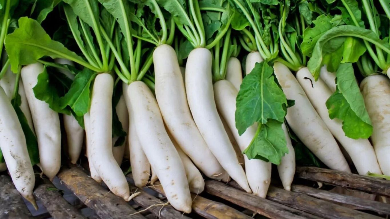 Radish Juice Benefits