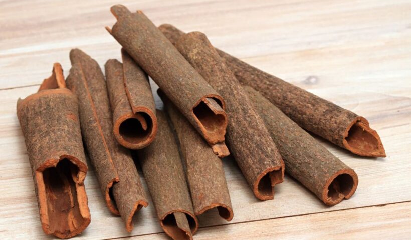Cinnamon Benefits