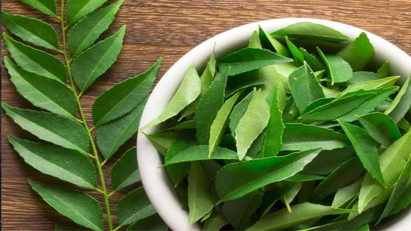 Curry Leaves