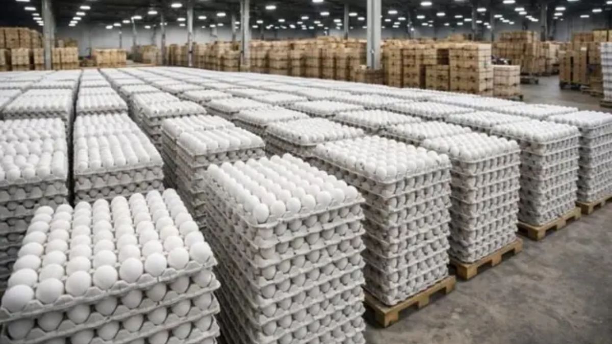 Egg Price Hike: