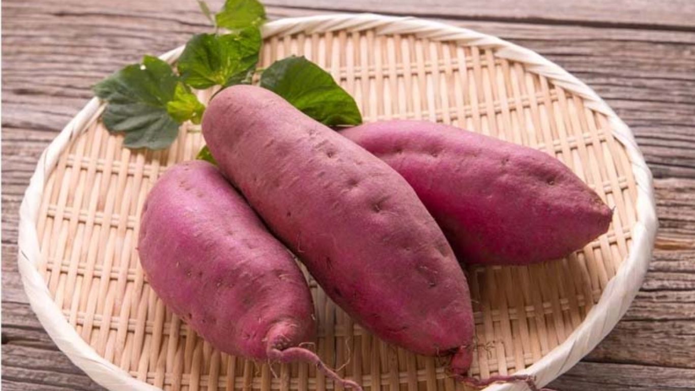 Sweet Potato