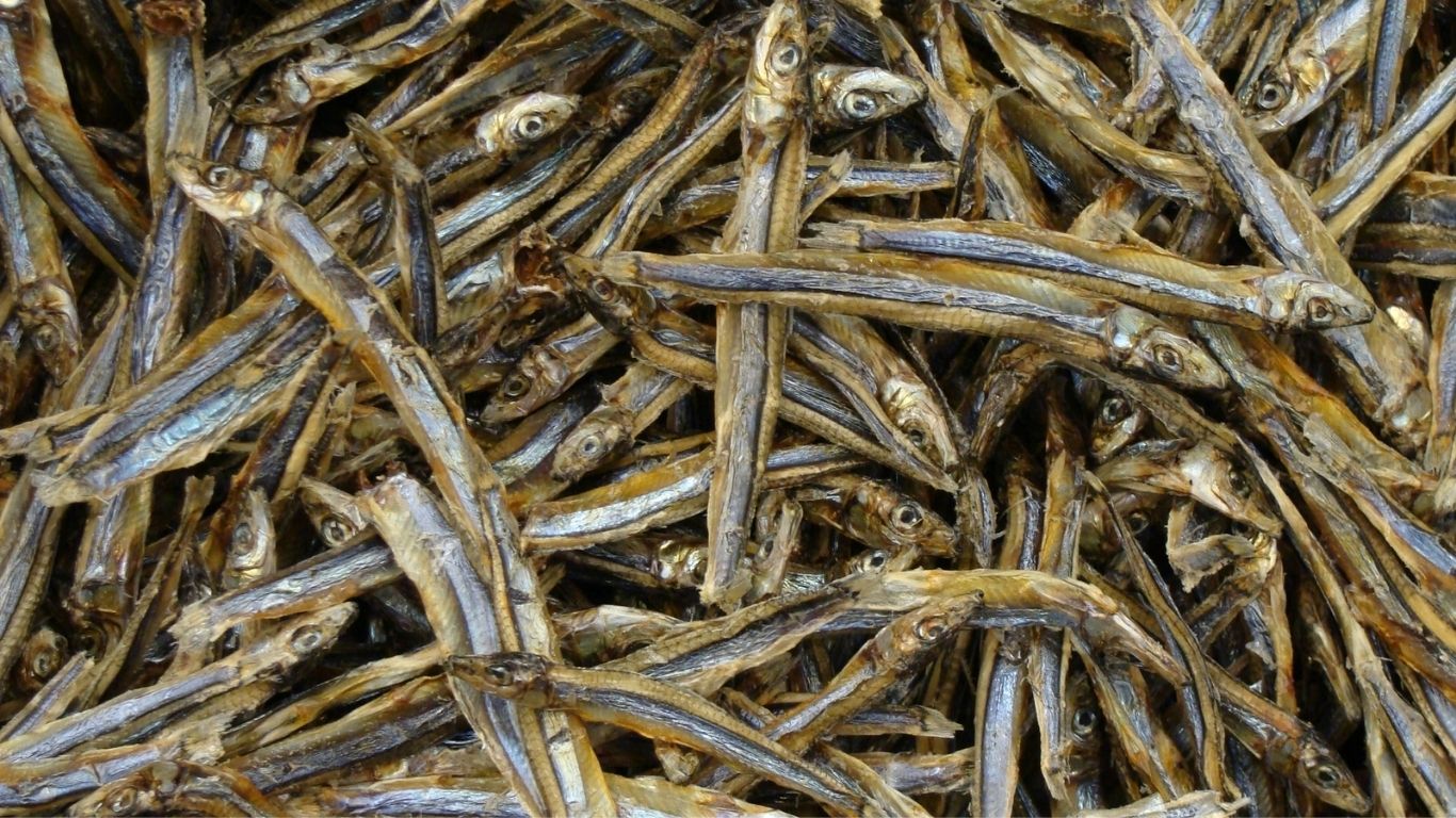 Dry Fish Benefits
