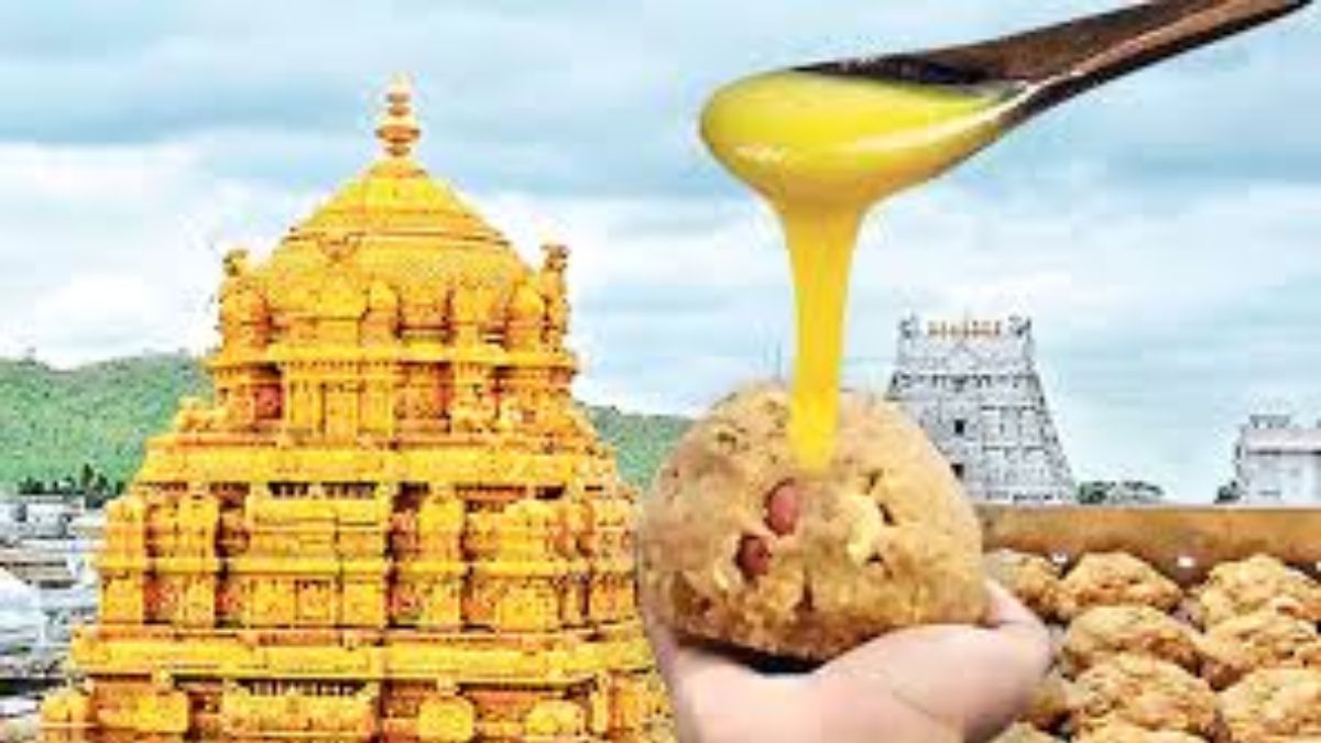 Tirumala laddu: