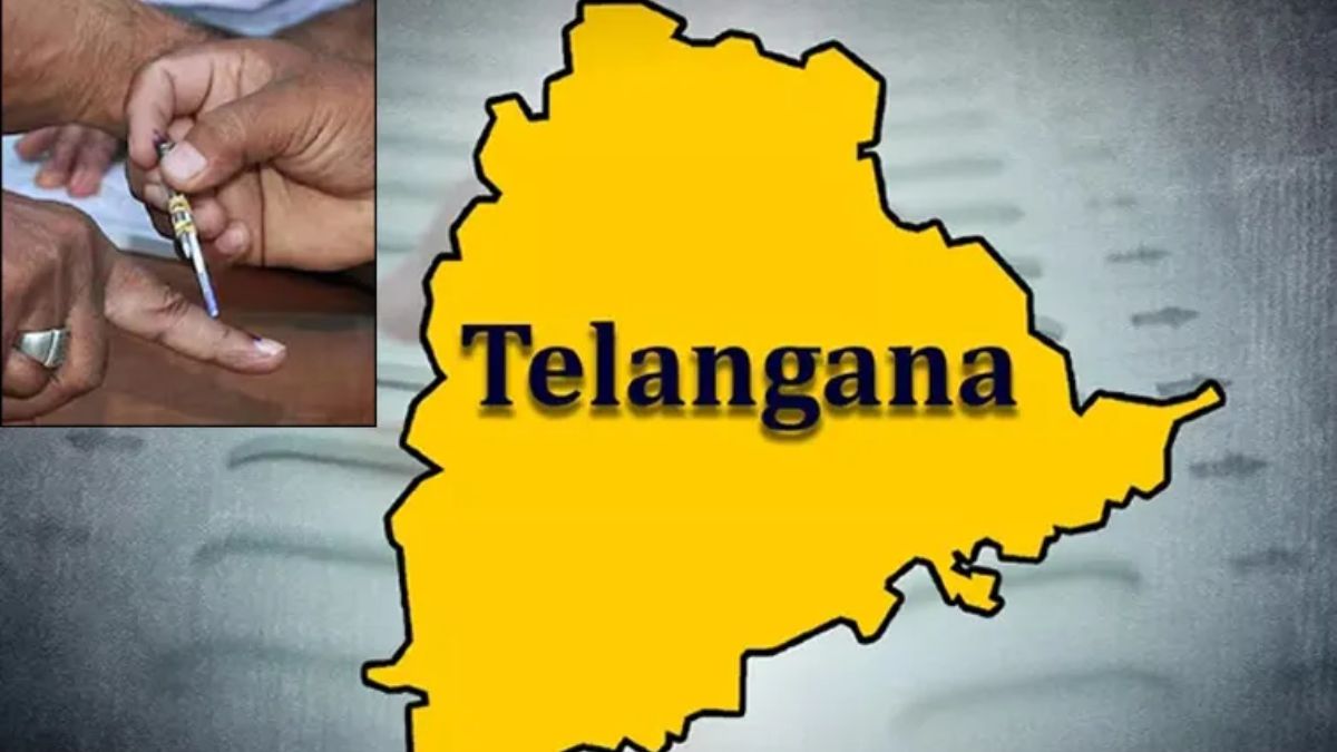 Local Body Elections: