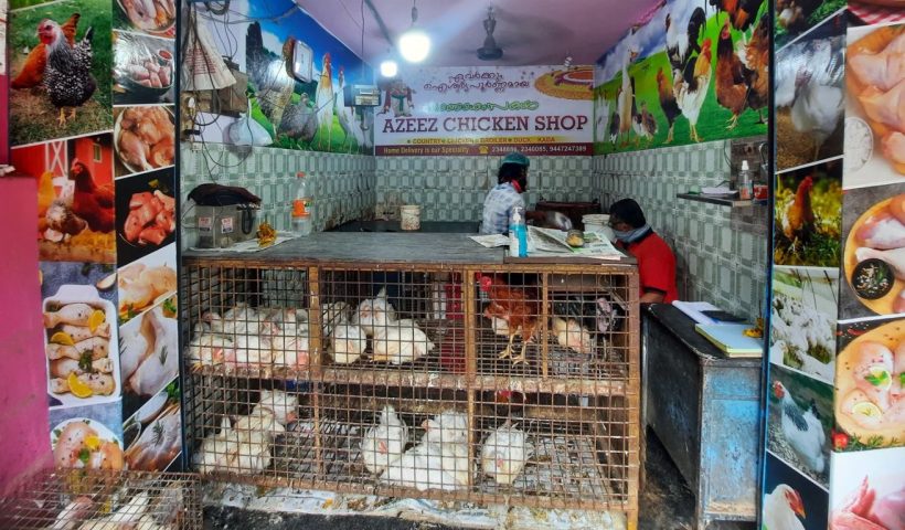 Chicken Shops