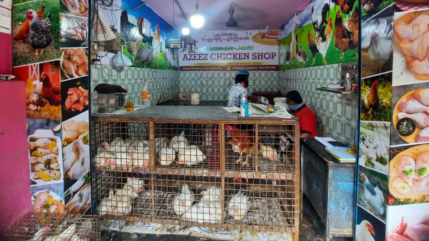 Chicken Shops