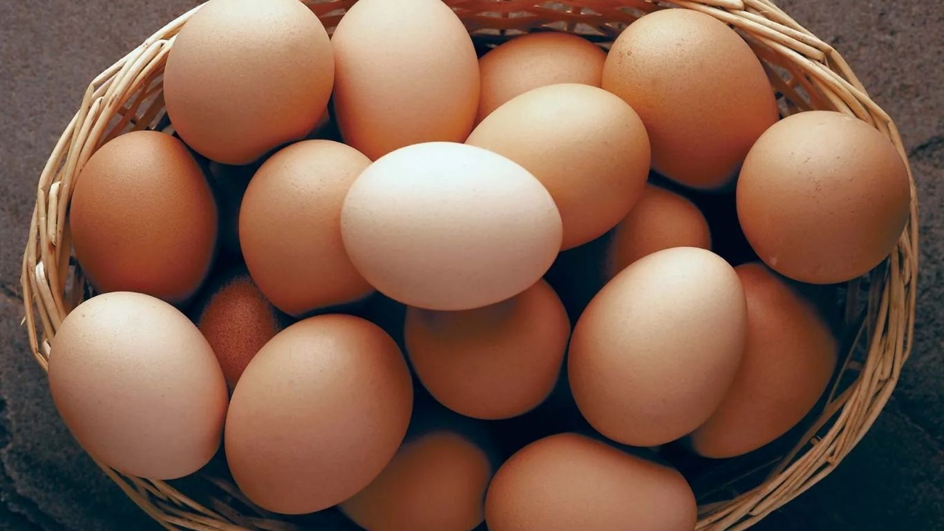 Egg Price:
