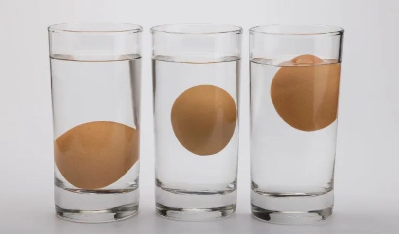 How to Check Fresh Egg