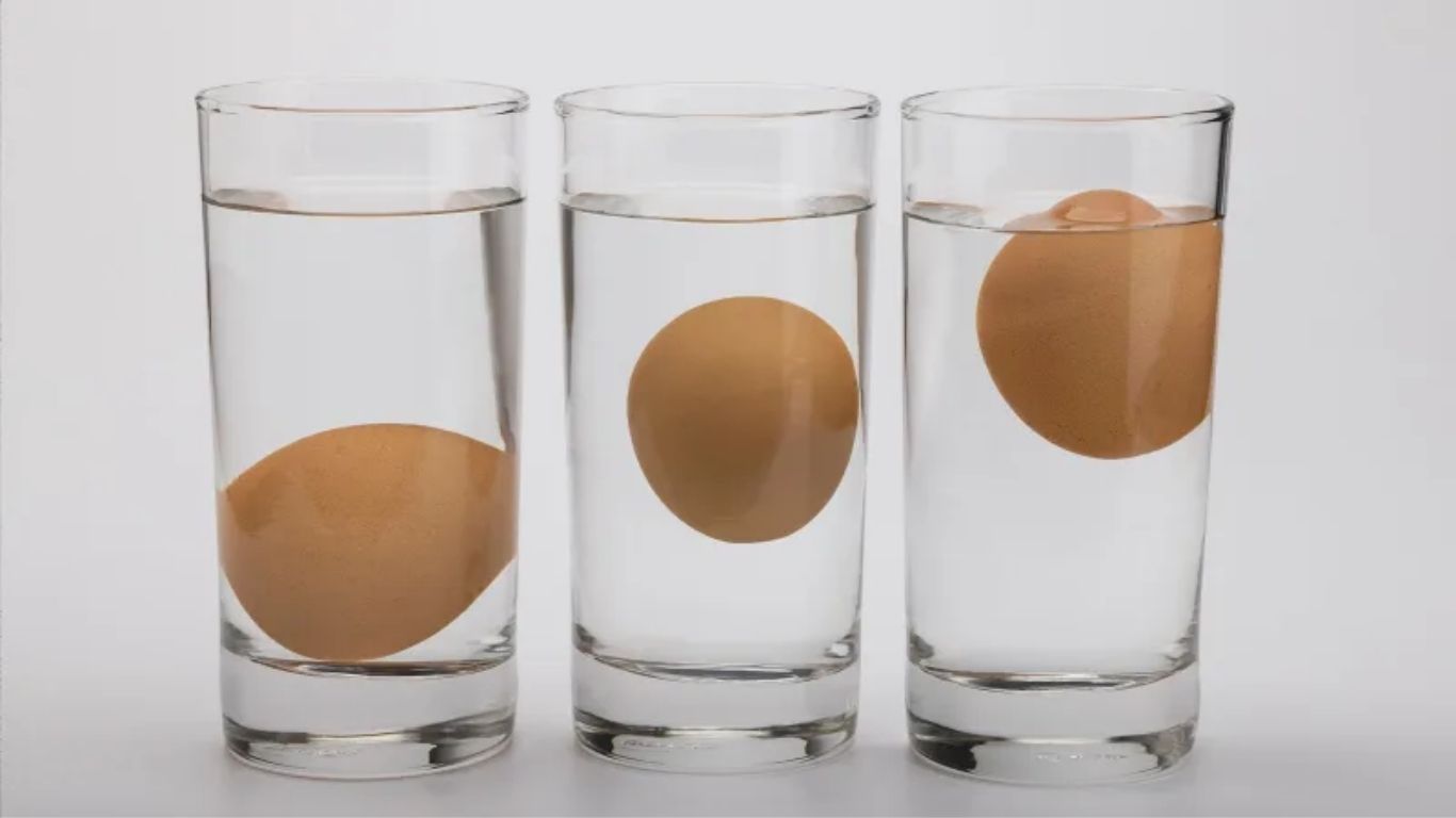 How to Check Fresh Egg