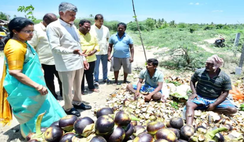 Chandrababu Naidu