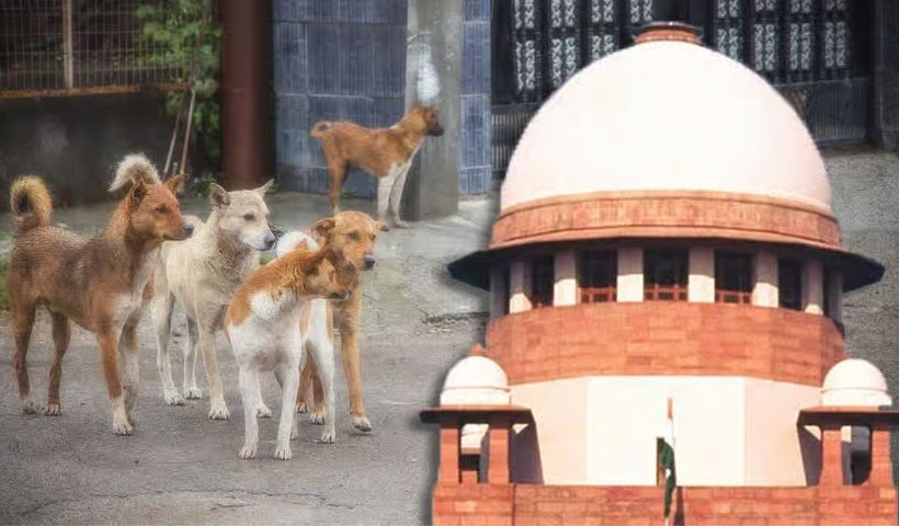 Supreme Court
