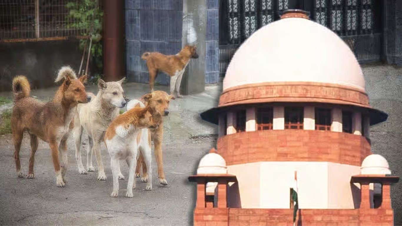 Supreme Court