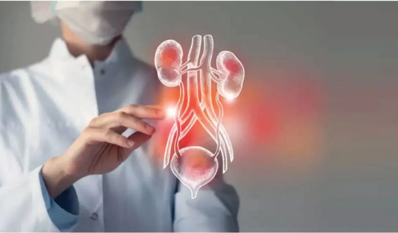 Urine Infection