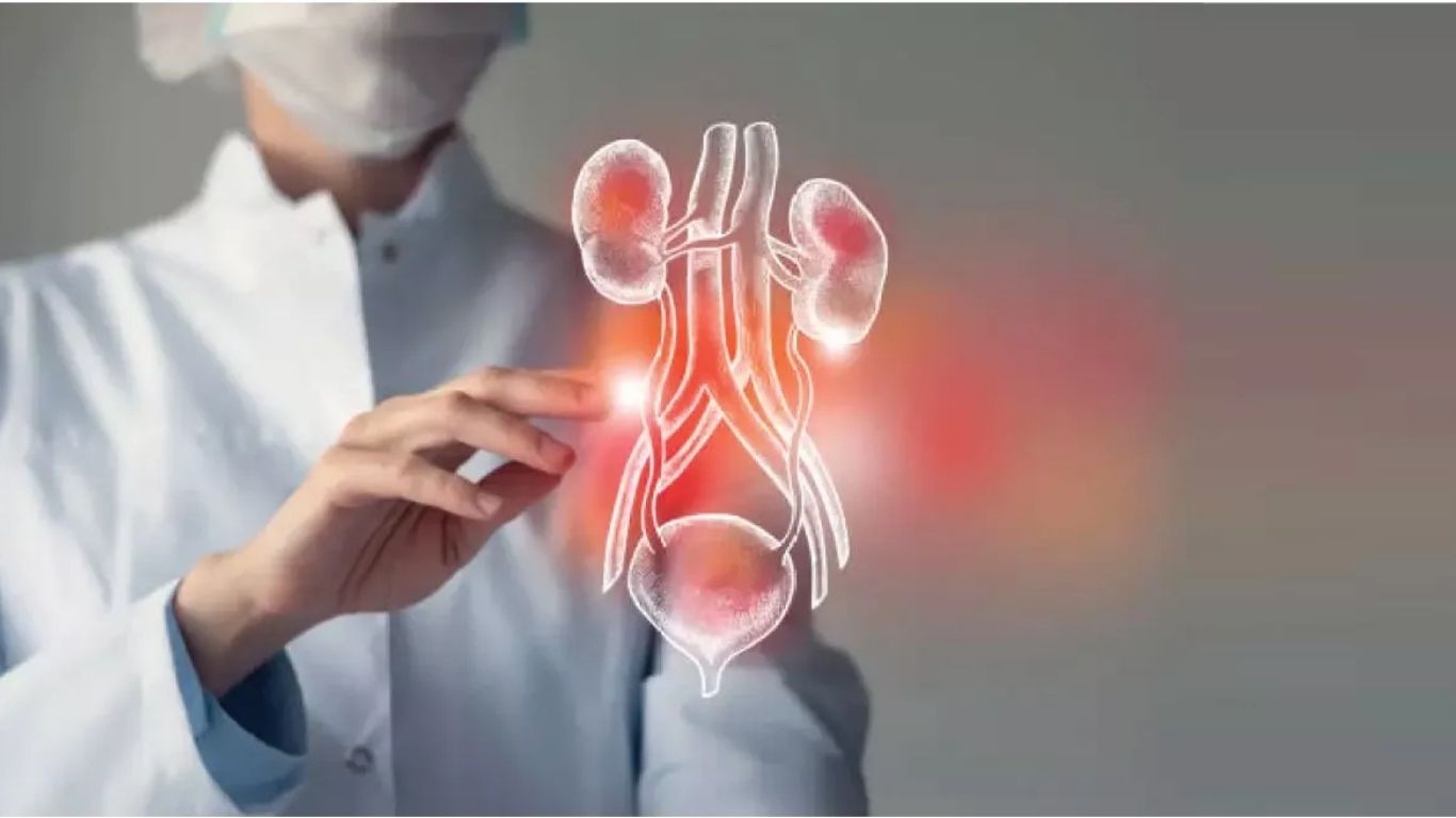 Urine Infection