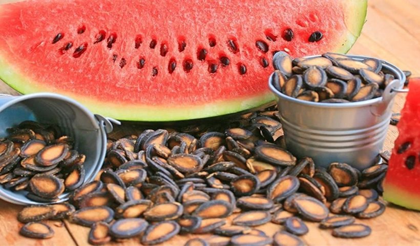 Watermelon Seeds Benefits: