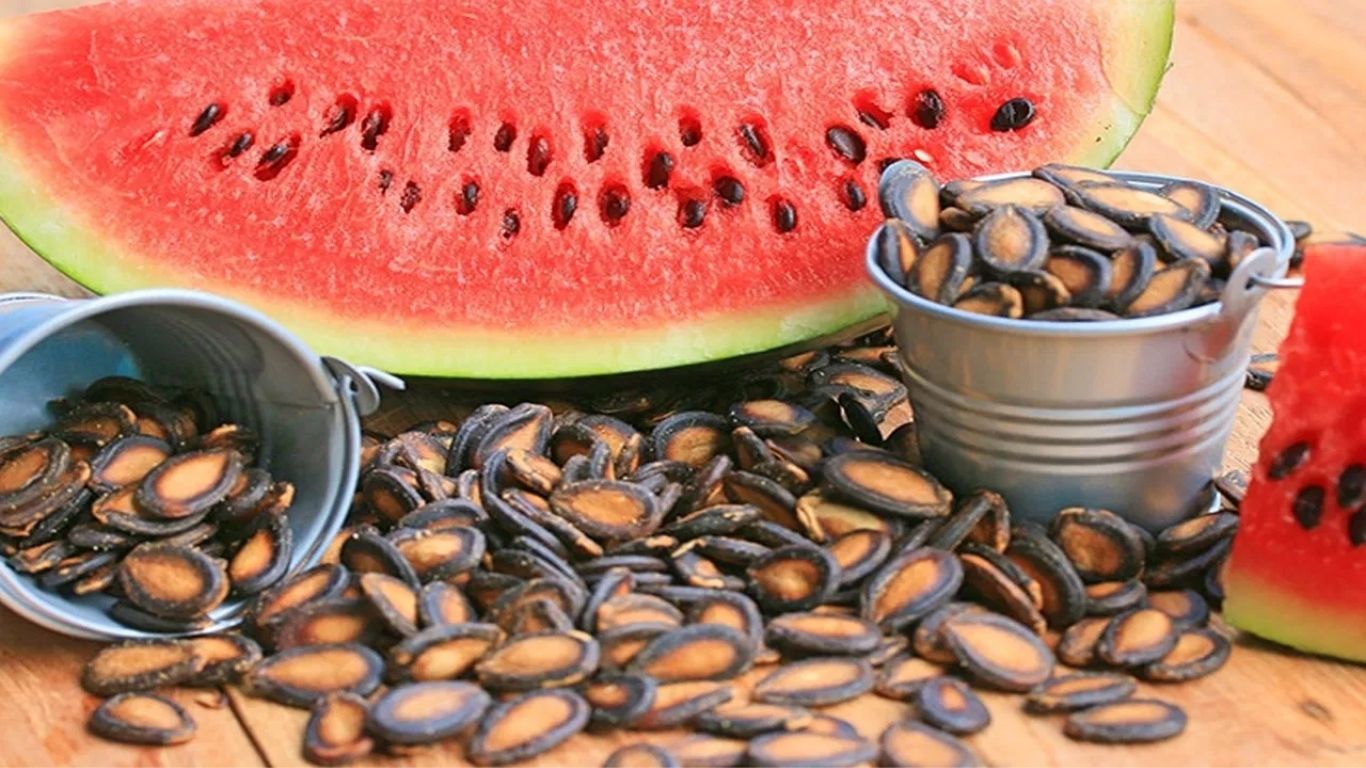 Watermelon Seeds Benefits: