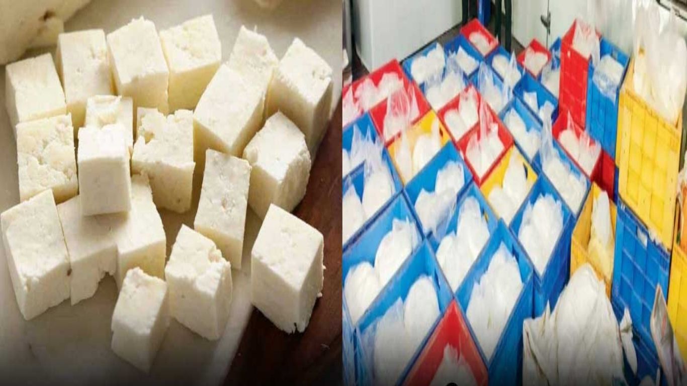 Adulterated Paneer