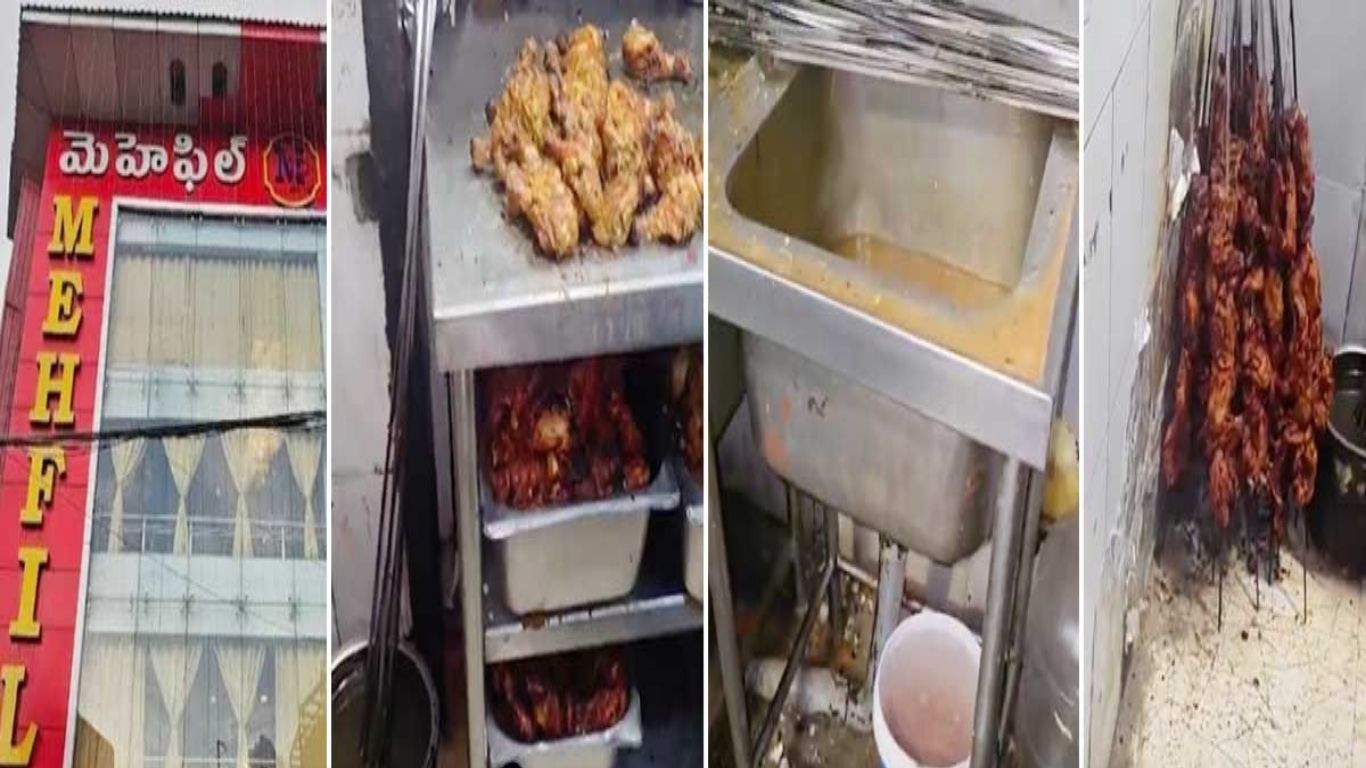 Food Safety Inspection