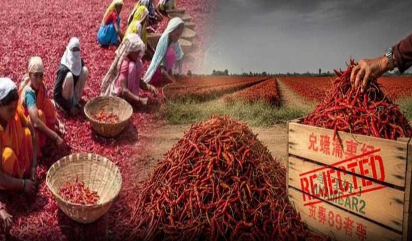 Guntur Mirchi