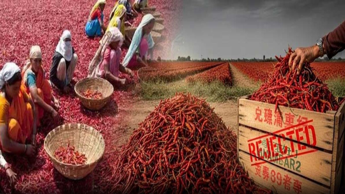 Guntur Mirchi
