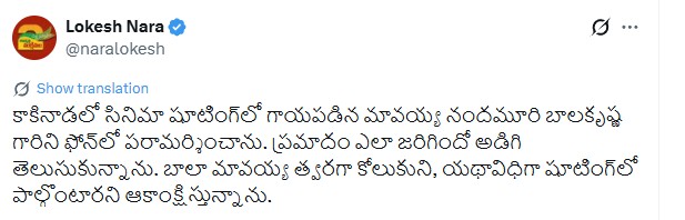 nara lokesh