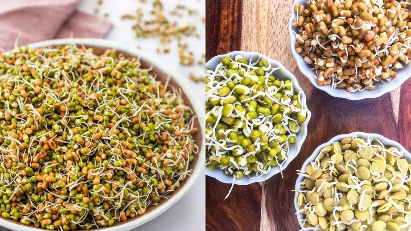 Ayurveda