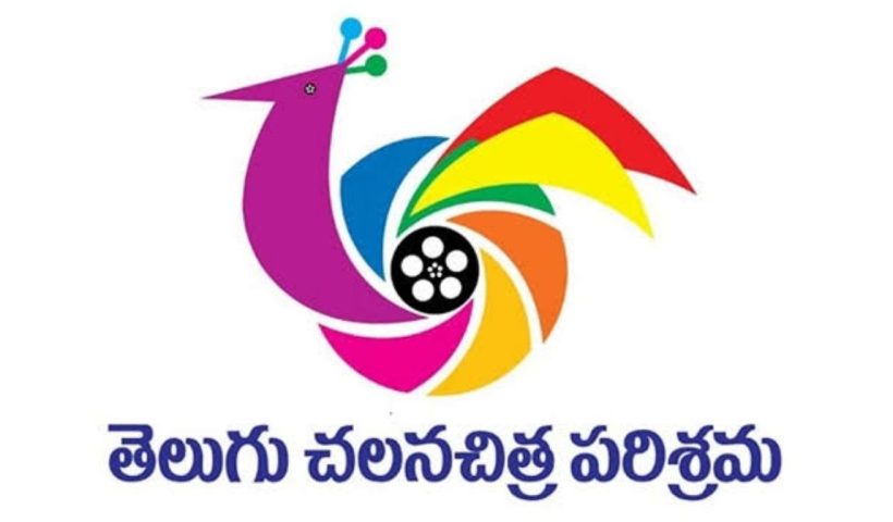 Film Federation Council