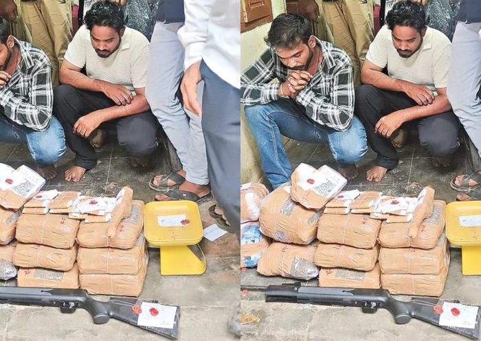Cannabis Bust