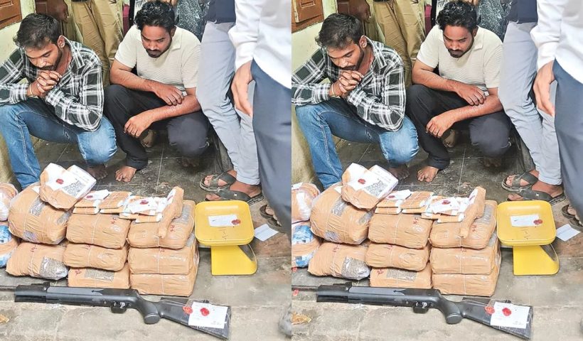 Cannabis Bust