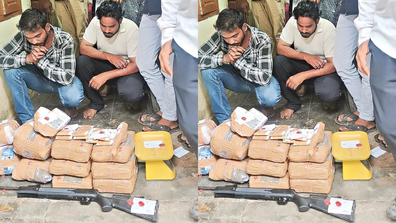 Cannabis Bust