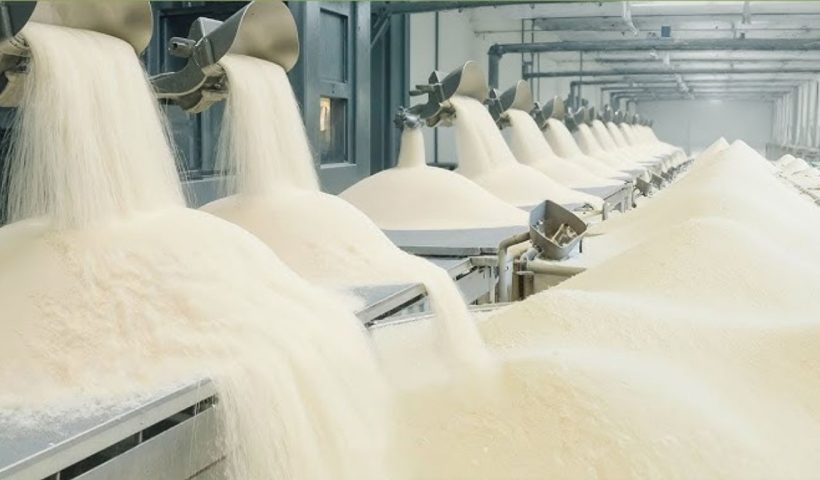 Sugar