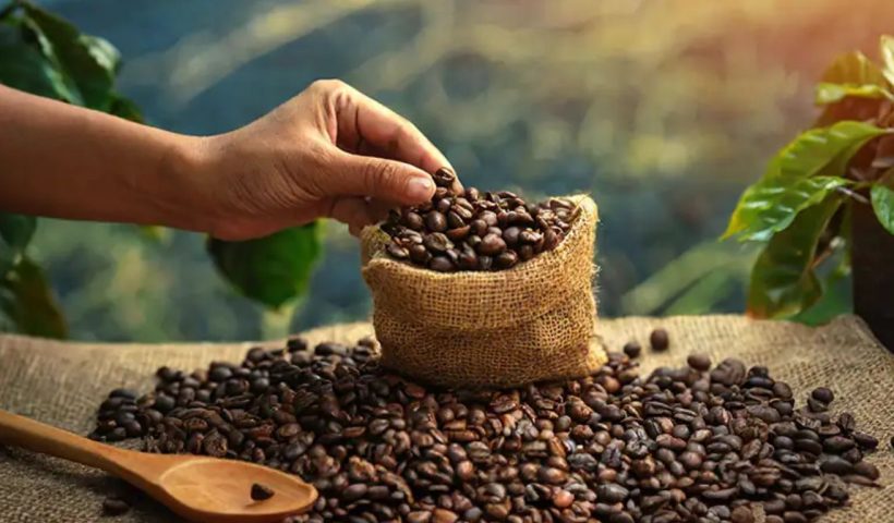 Coffee