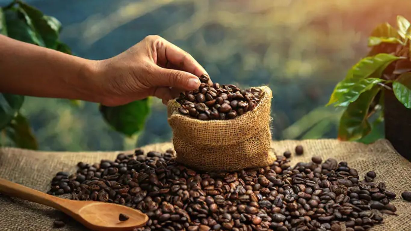 Coffee