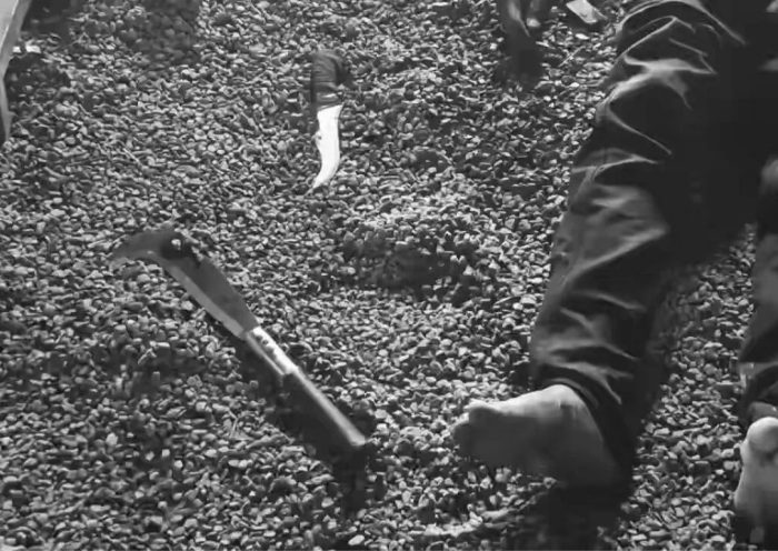 Nagole Murder