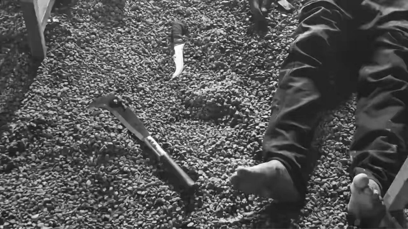 Nagole Murder