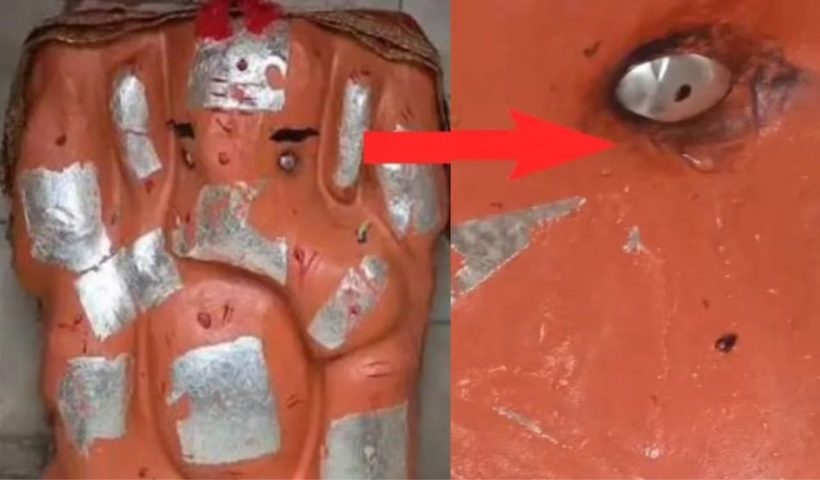 Viral News: 