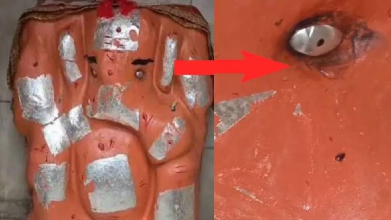Viral News: 