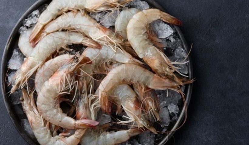prawns
