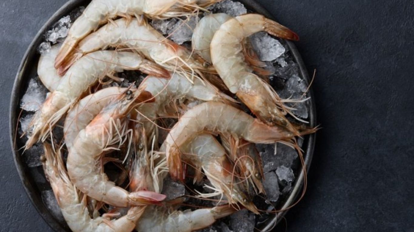 prawns