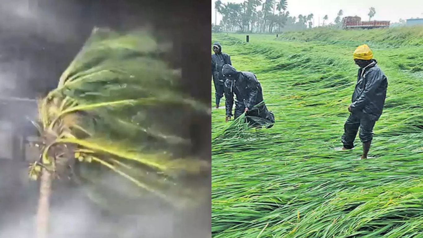 Arnab Cyclone