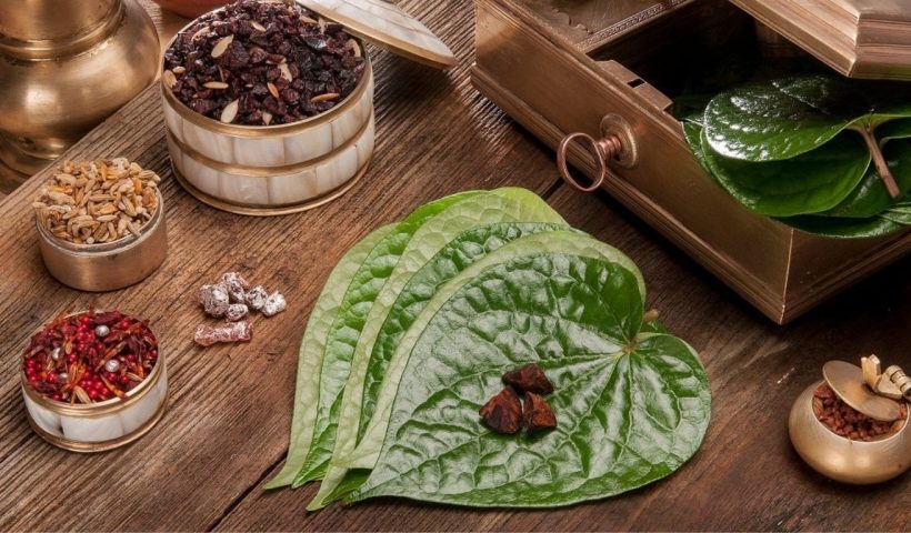 Betel Leaf: