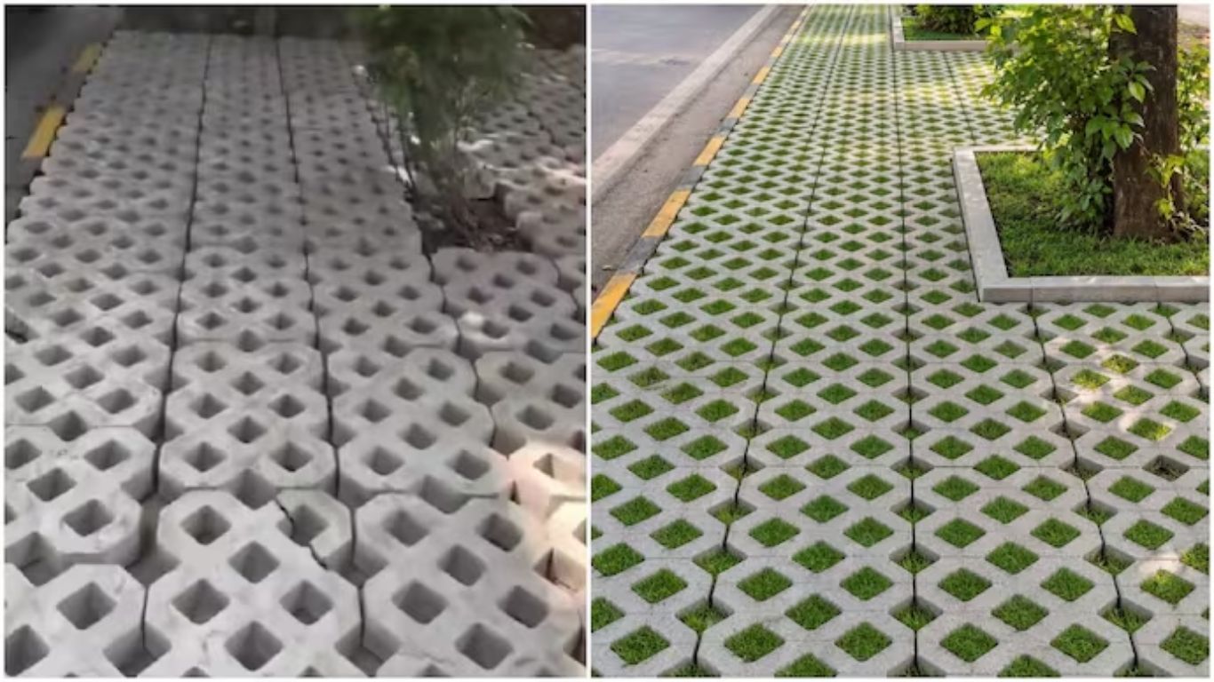 Delhi Footpath