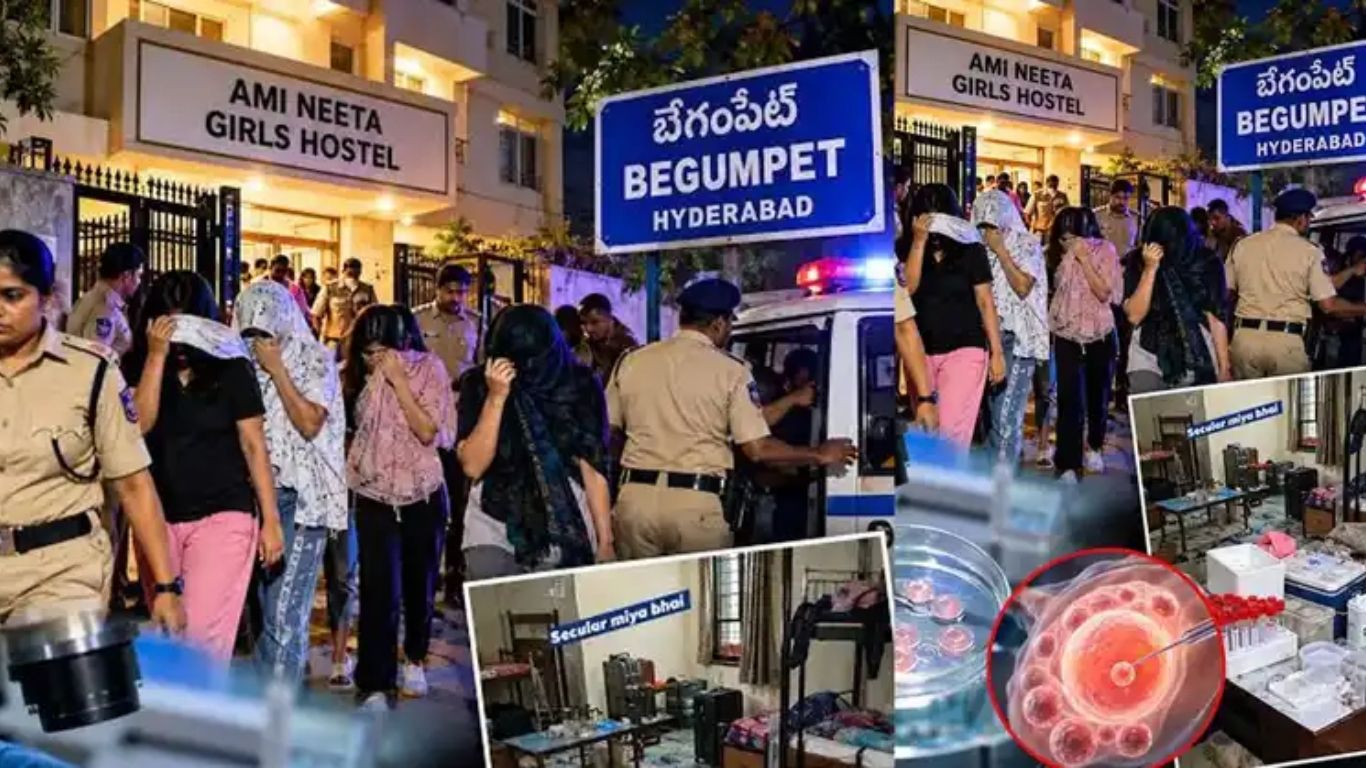 Egg Donation Racket