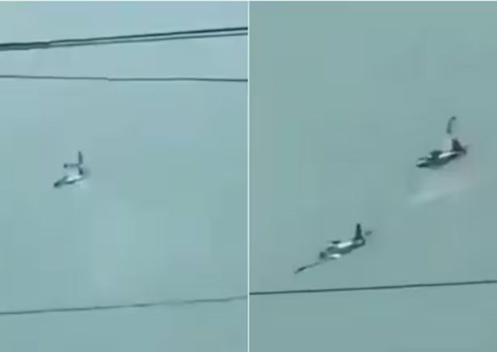 Aircraft Crash